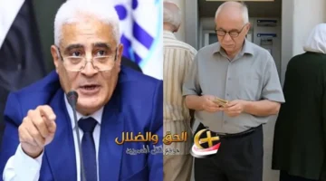 صرف معاشات نوفمبر 2025 يبدأ السبت إلكترونياً دون زيادات وفق التأمينات الاجتماعية